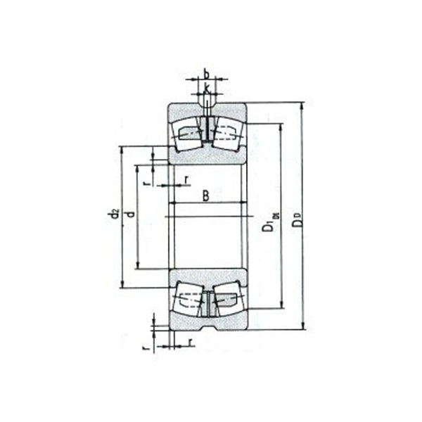 Pendelrollenlager für Vibrationsanwendungen